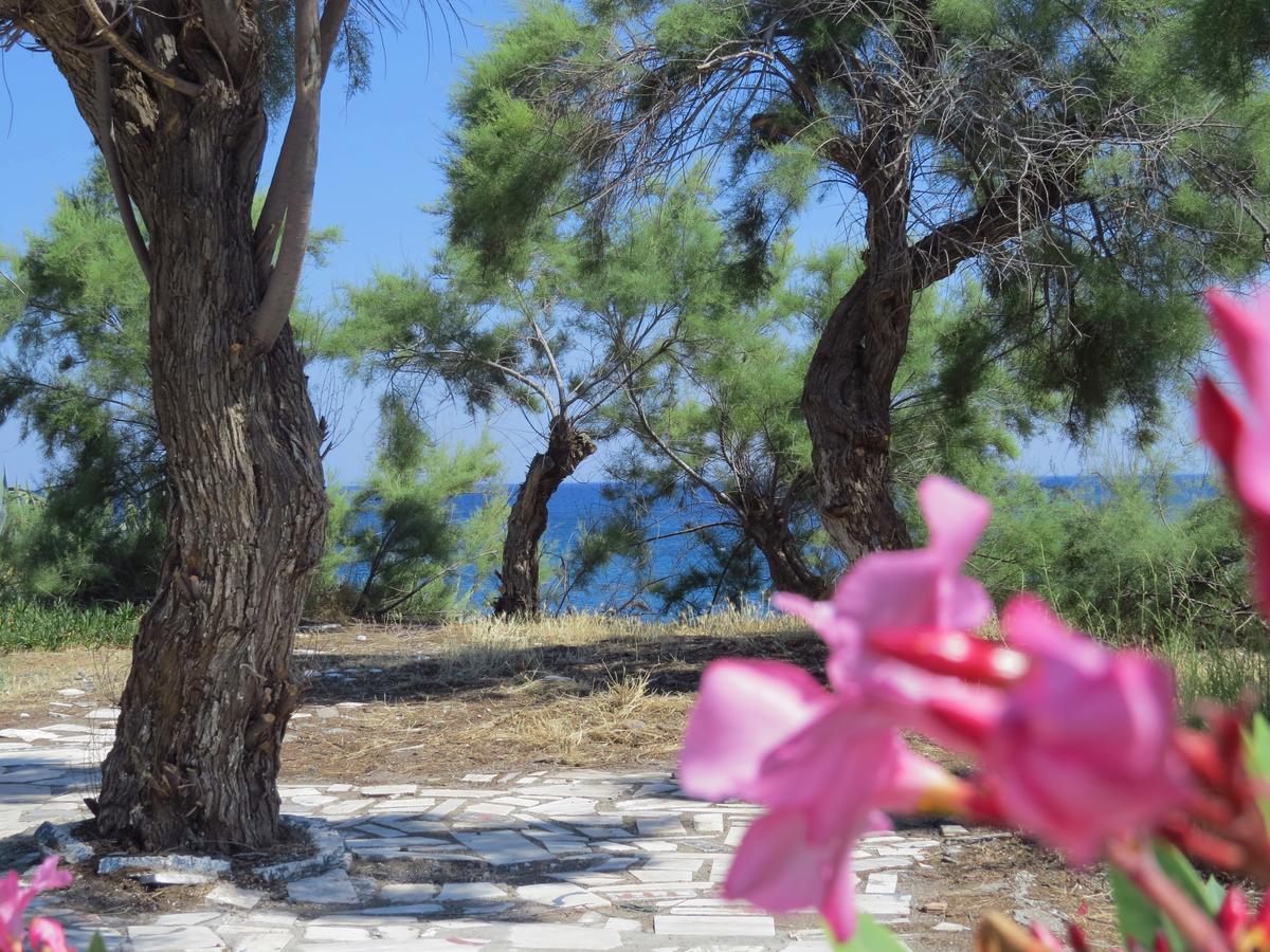 Loukas Beach Rooms Kiotari Luaran gambar